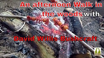 An afternoon walk in the woods with David Willis Bushcraft