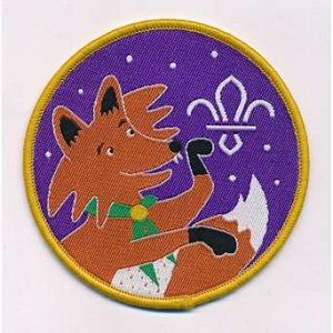 Scout christmas badge
