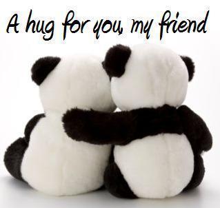 panda toy hugging