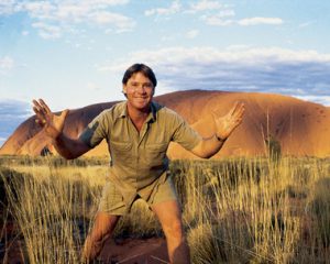 Steve Irwin poster