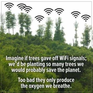 Wifi Trees