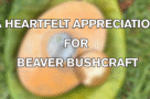 beaver bushcraft review