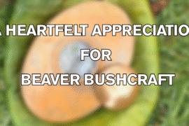 beaver bushcraft review